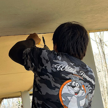 A person wearing a "Wildlife Removal" shirt is using a drill to work on a ceiling. The shirt features a cartoon animal logo.